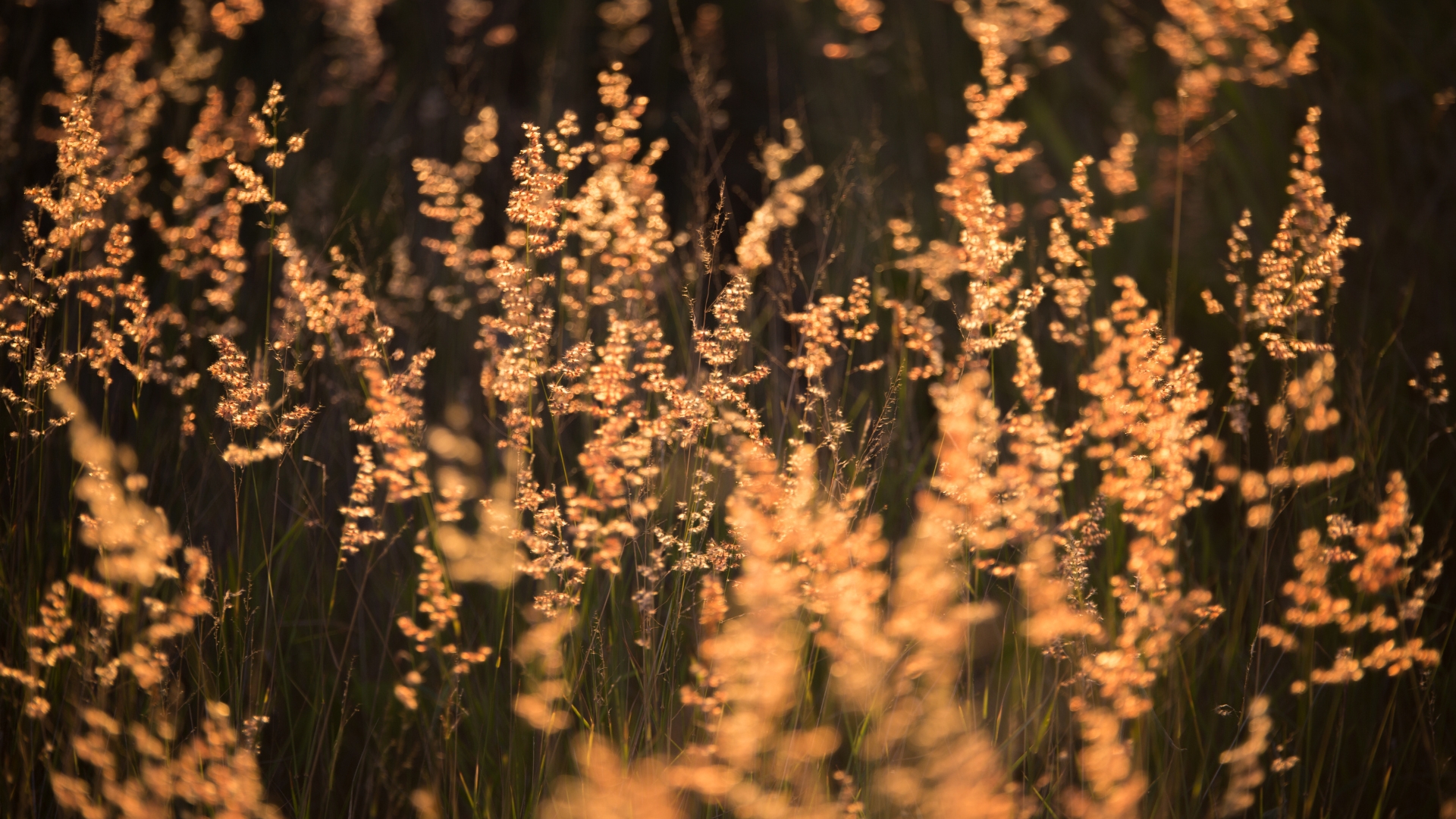 Grupa ludzi siedząca razem, symbolizująca wspólnotę.